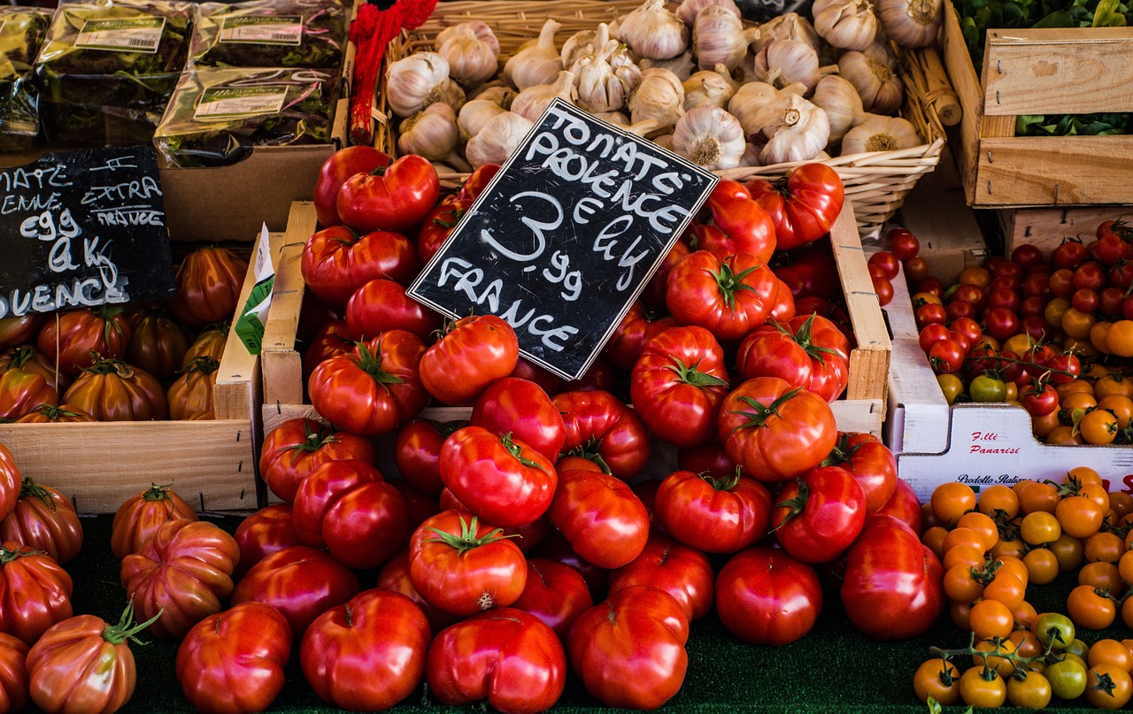 Gestión del Ciclo de Vida del Producto